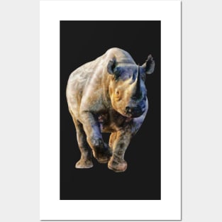 Black Rhino in Colour | African Wildlife Posters and Art